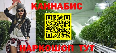 jwh Кингисепп