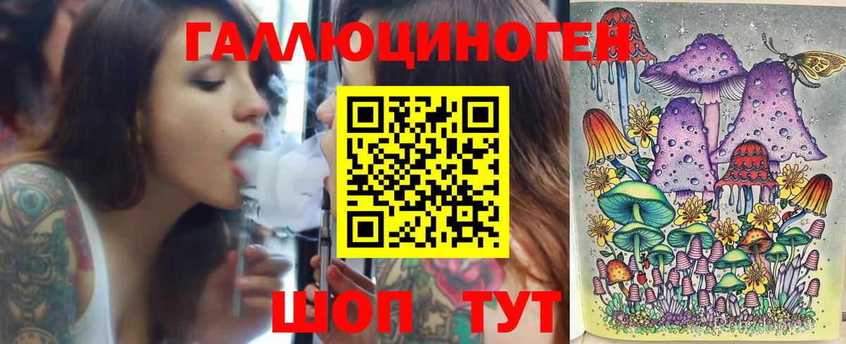 Галлюциногенные грибы Psilocybine cubensis Благовещенск