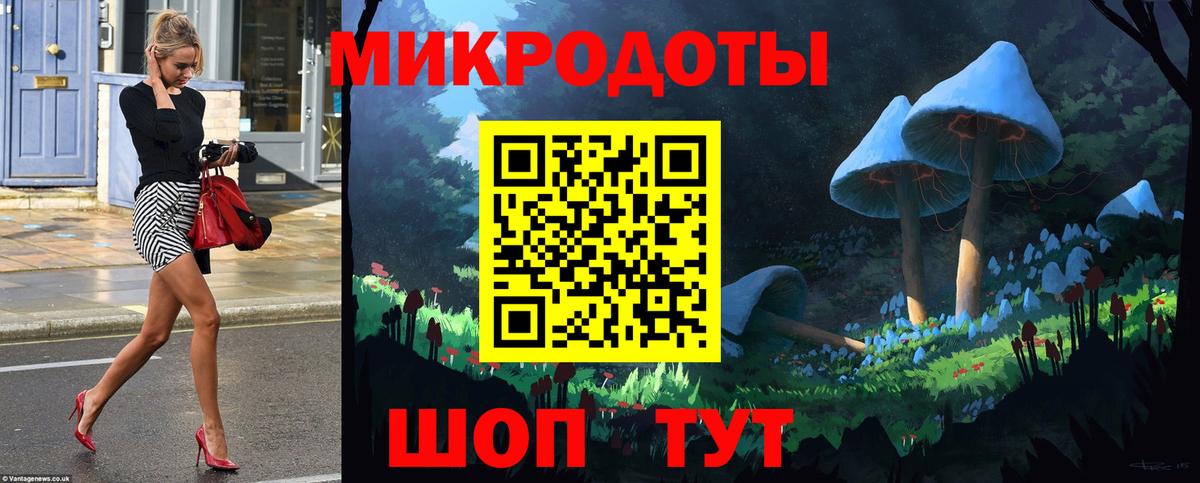 Псилоцибиновые грибы Psilocybe  Вход с VPN  Благовещенск 